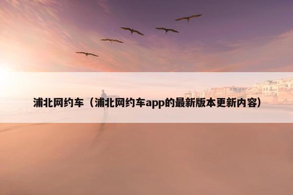 浦北网约车（浦北网约车app的最新版本更新内容）