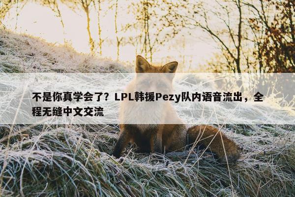 不是你真学会了？LPL韩援Pezy队内语音流出，全程无缝中文交流