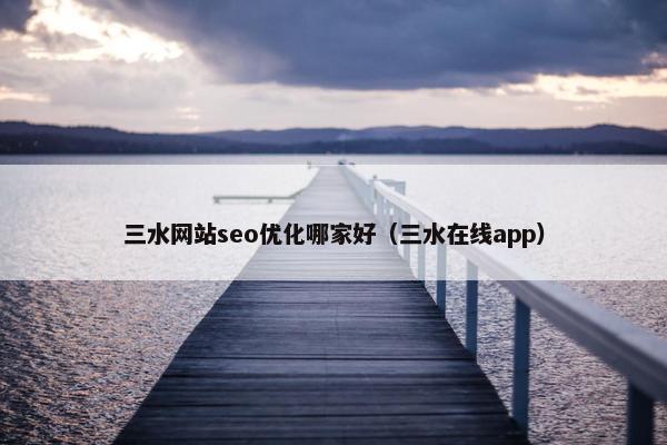 三水网站seo优化哪家好（三水在线app）