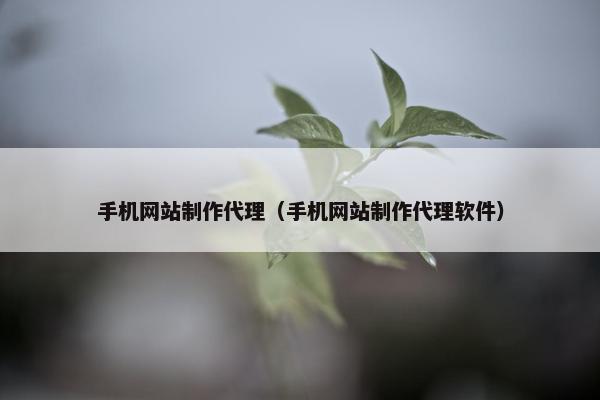 手机网站制作代理（手机网站制作代理软件）