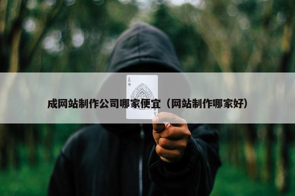 成网站制作公司哪家便宜（网站制作哪家好）