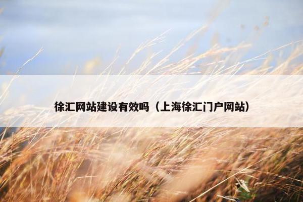 徐汇网站建设有效吗（上海徐汇门户网站）