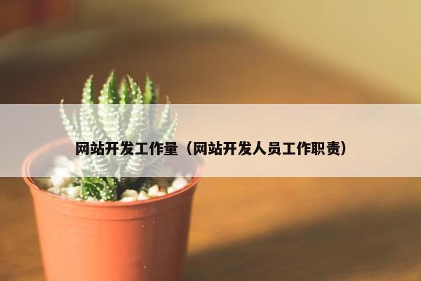 网站开发工作量（网站开发人员工作职责）