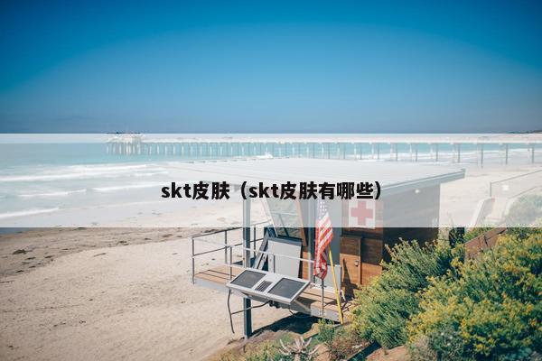 skt皮肤（skt皮肤有哪些）