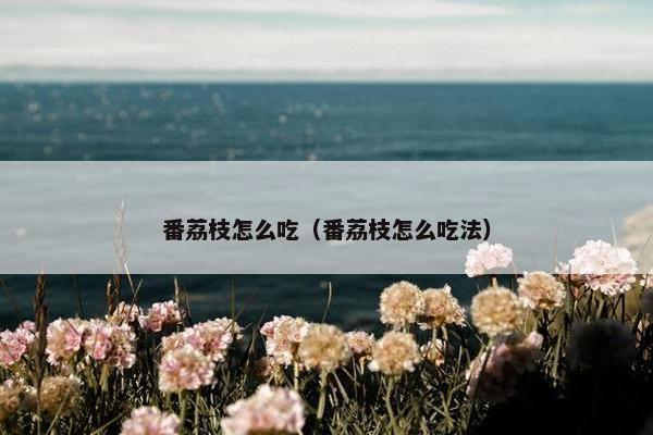 番荔枝怎么吃（番荔枝怎么吃法）