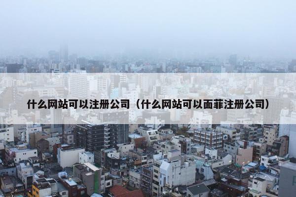 什么网站可以注册公司（什么网站可以面菲注册公司）