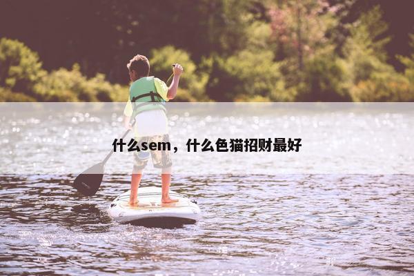 什么sem，什么色猫招财最好