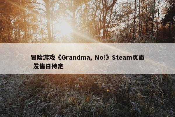 冒险游戏《Grandma, No!》Steam页面 发售日待定