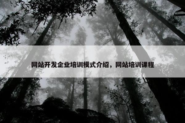 网站开发企业培训模式介绍，网站培训课程