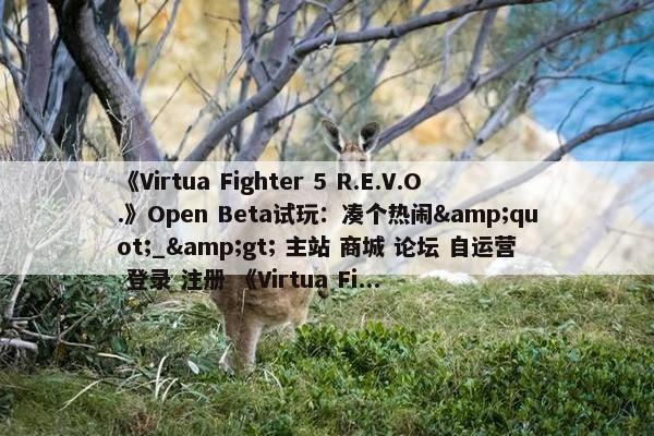 《Virtua Fighter 5 R.E.V.O.》Open Beta试玩：凑个热闹&quot;_&gt; 主站 商城 论坛 自运营 登录 注册 《Virtua Fi...