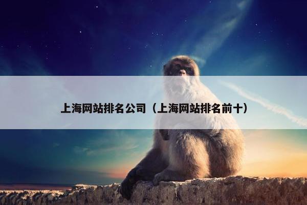 上海网站排名公司（上海网站排名前十）