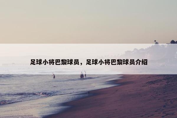 足球小将巴黎球员，足球小将巴黎球员介绍