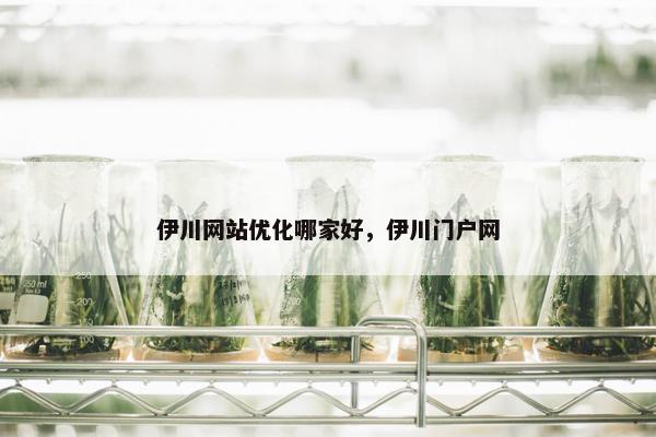 伊川网站优化哪家好，伊川门户网