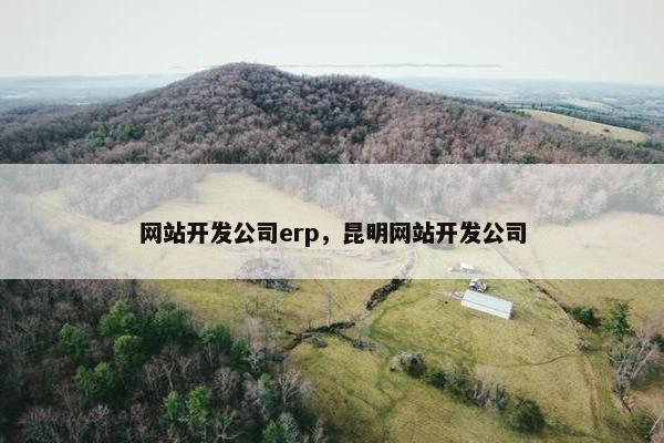 网站开发公司erp，昆明网站开发公司