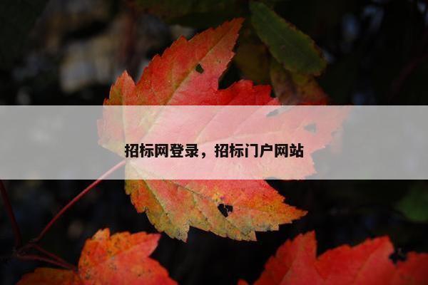 招标网登录，招标门户网站