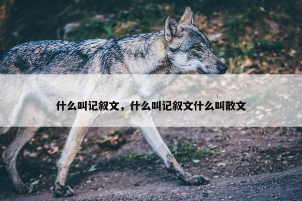 什么叫记叙文，什么叫记叙文什么叫散文