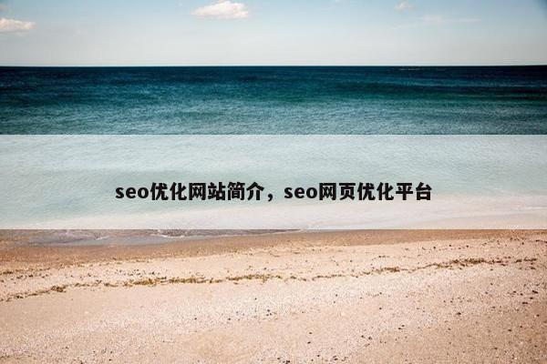 seo优化网站简介，seo网页优化平台