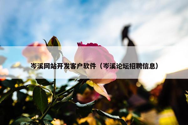 岑溪网站开发客户软件（岑溪论坛招聘信息）