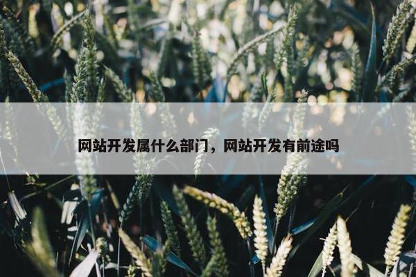 网站开发属什么部门，网站开发有前途吗