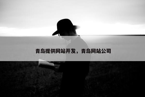 青岛提供网站开发，青岛网站公司