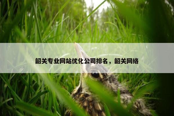 韶关专业网站优化公司排名，韶关网络