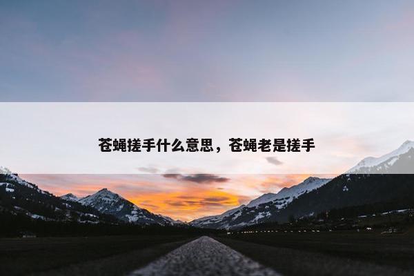 苍蝇搓手什么意思，苍蝇老是搓手