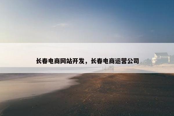 长春电商网站开发，长春电商运营公司