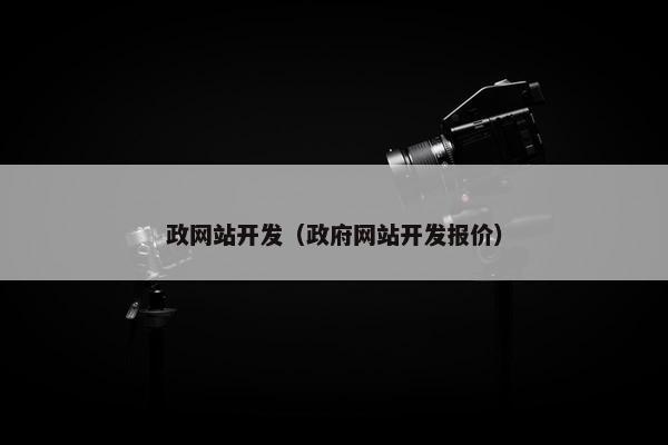 政网站开发（政府网站开发报价）