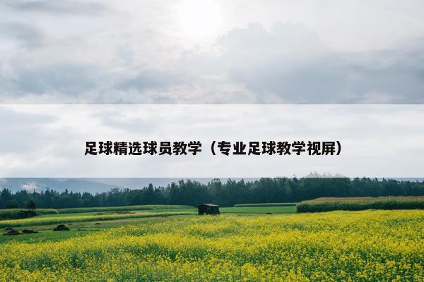 足球精选球员教学（专业足球教学视屏）