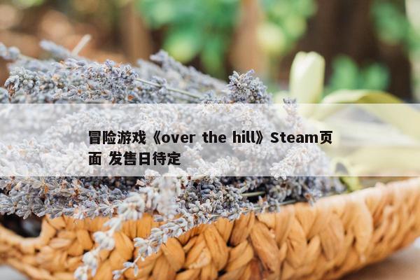 冒险游戏《over the hill》Steam页面 发售日待定