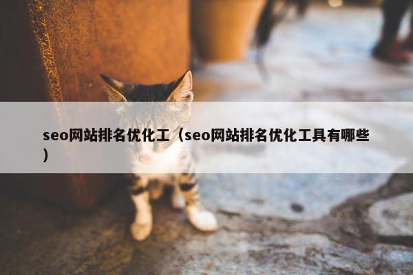 seo网站排名优化工（seo网站排名优化工具有哪些）