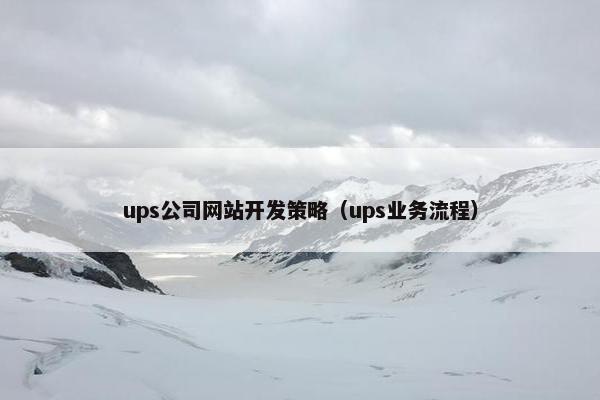 ups公司网站开发策略（ups业务流程）