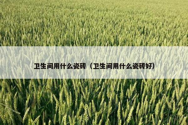 卫生间用什么瓷砖（卫生间用什么瓷砖好）