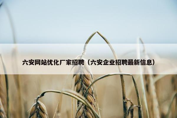 六安网站优化厂家招聘（六安企业招聘最新信息）