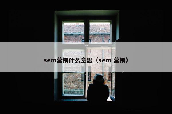 sem营销什么意思（sem 营销）