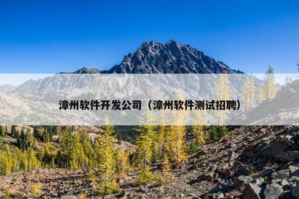 漳州软件开发公司（漳州软件测试招聘）