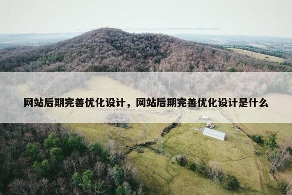 网站后期完善优化设计，网站后期完善优化设计是什么