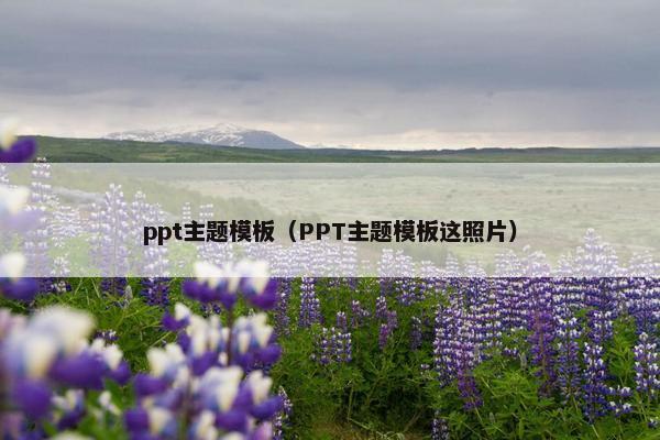 ppt主题模板（PPT主题模板这照片）