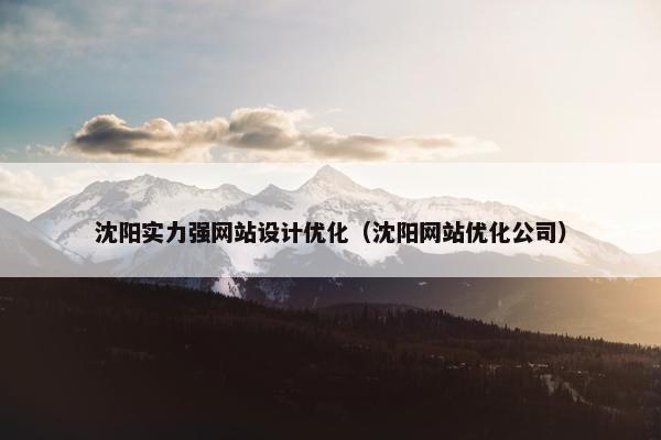 沈阳实力强网站设计优化（沈阳网站优化公司）