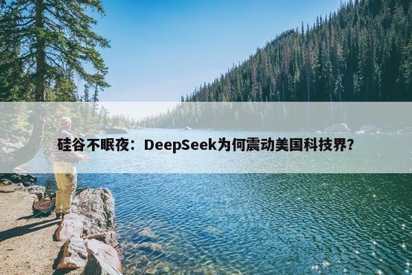 硅谷不眠夜：DeepSeek为何震动美国科技界？