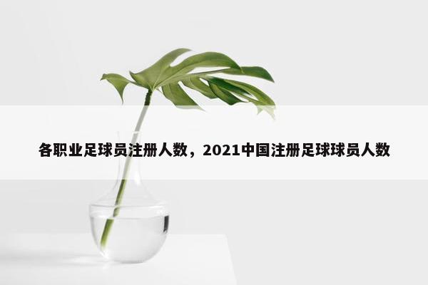 各职业足球员注册人数，2021中国注册足球球员人数