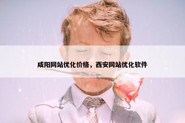 咸阳网站优化价格，西安网站优化软件