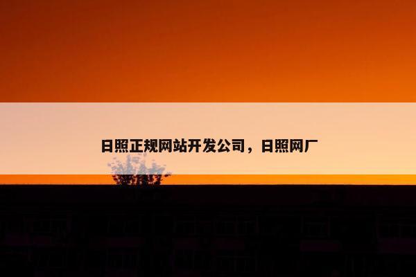 日照正规网站开发公司，日照网厂