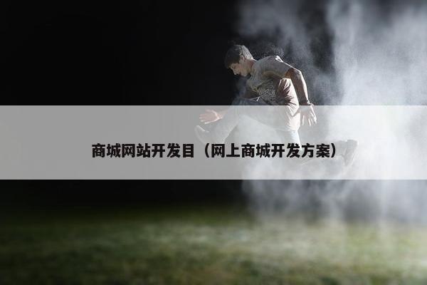 商城网站开发目（网上商城开发方案）