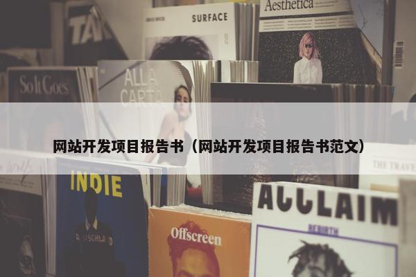 网站开发项目报告书（网站开发项目报告书范文）