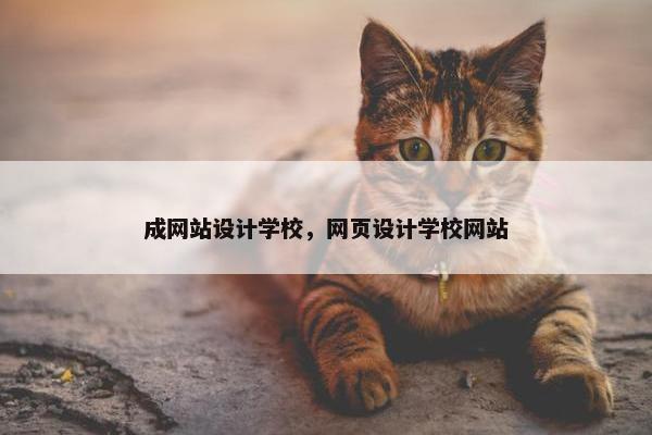 成网站设计学校，网页设计学校网站