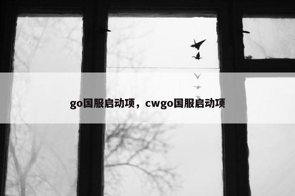 go国服启动项，cwgo国服启动项