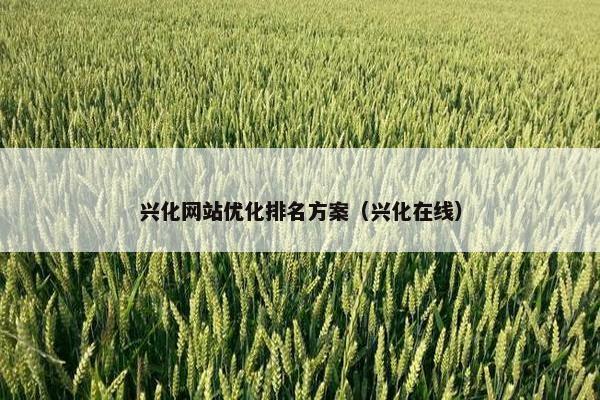 兴化网站优化排名方案（兴化在线）