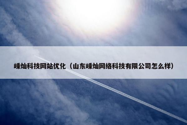 嵊灿科技网站优化（山东嵊灿网络科技有限公司怎么样）