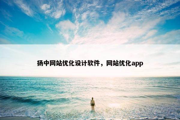 扬中网站优化设计软件，网站优化app